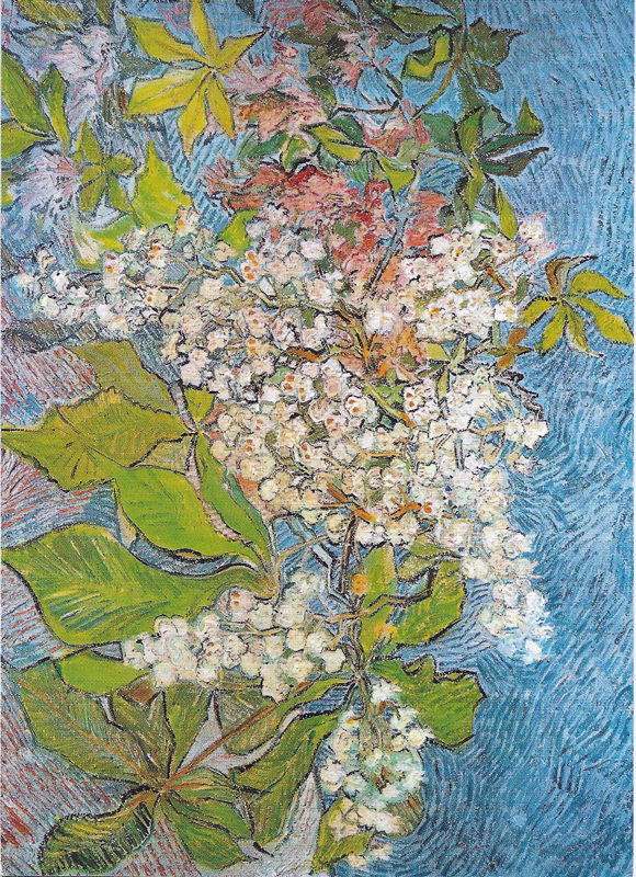 Vincent Van Gogh, Ramo di castagno in fiore
